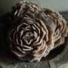 Amber Geur Roosje Musk Marron - Afbeelding 2