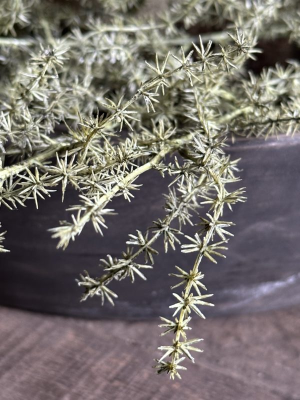 Wilde Asparagus XL Kunsttak (130cm) - Afbeelding 2
