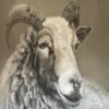 Handgeschilderd Kalkdoek Met Ram (Alleen Afhalen) - Afbeelding 4