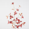 Brasiliana Leaf 115 cm - Afbeelding 5