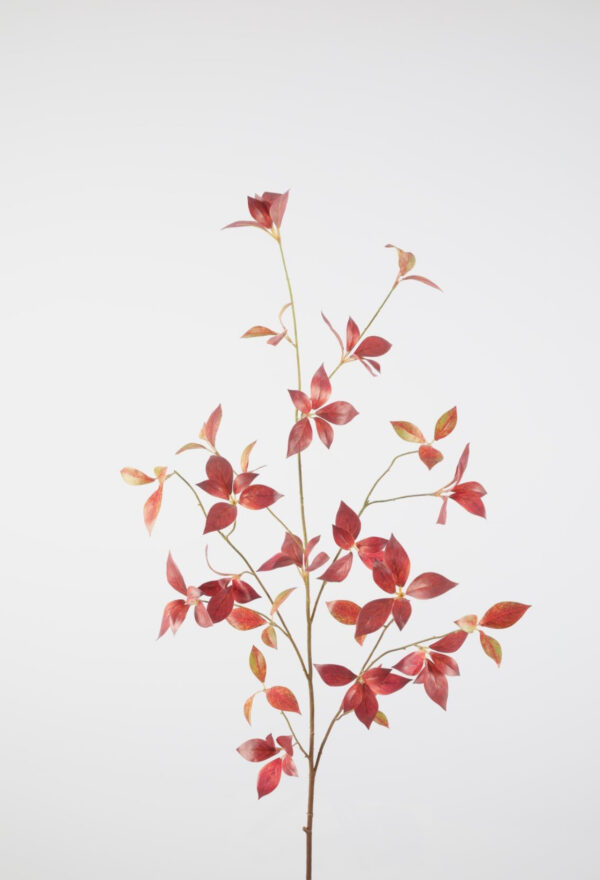Brasiliana Leaf 115 cm - Afbeelding 5