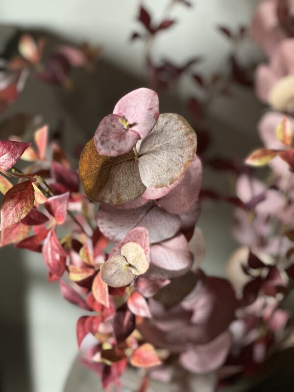 Eucalyptus Kunsttak 118 cm - Afbeelding 6