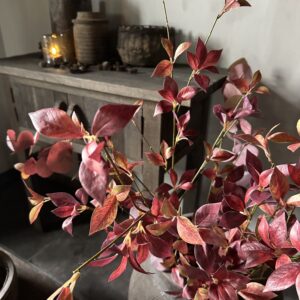 Brasiliana Leaf 115 cm