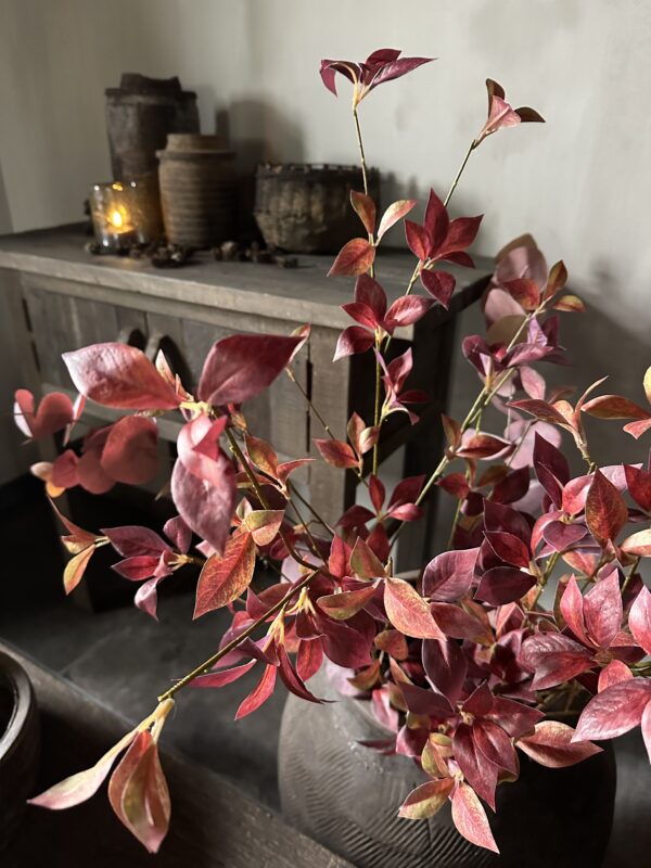 Brasiliana Leaf 115 cm