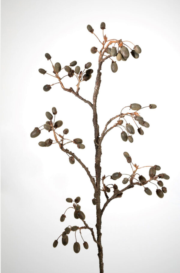Acorn Branch 112 cm - Afbeelding 9