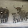 Handgeschilderd Kalkdoek Met 4 Schotse Hooglanders San7 - Afbeelding 3