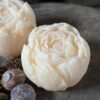Amber Geur Pioenroos Vanille - Afbeelding 2