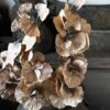 Ginkgo Leaf Spray 77 cm - Afbeelding 4