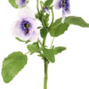 Bosje Van 3 Viooltjes 35 cm - Afbeelding 7