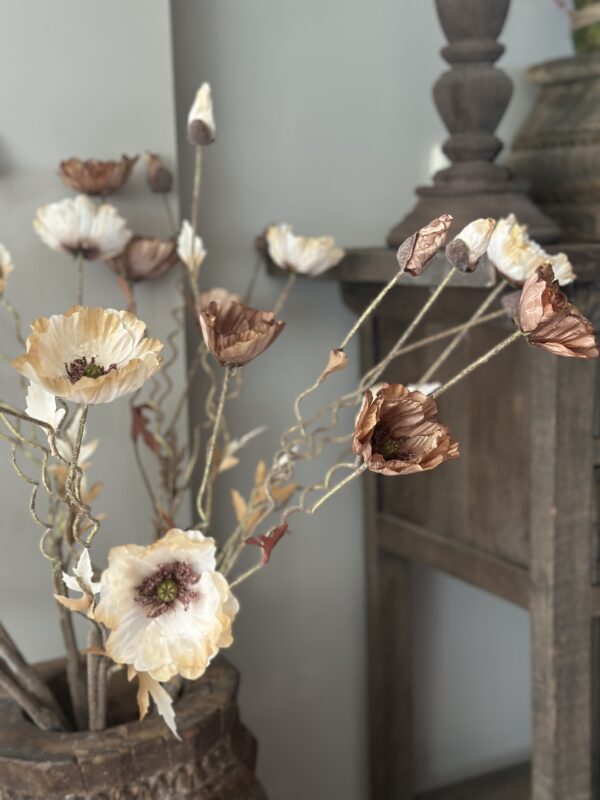 Poppy Bundle Crème - Afbeelding 7