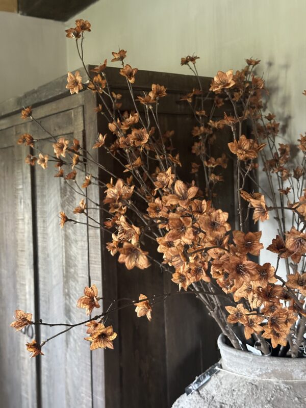Cornus Copper Kunsttak - Afbeelding 3