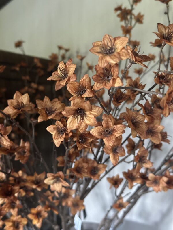 Cornus Copper Kunsttak - Afbeelding 2