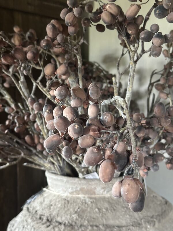 Alnus Grande Brown 92 cm - Afbeelding 6