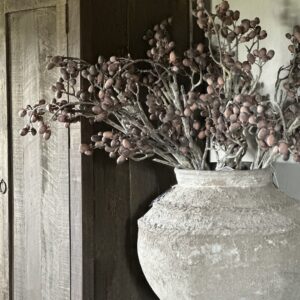 Alnus Grande Brown 92 cm