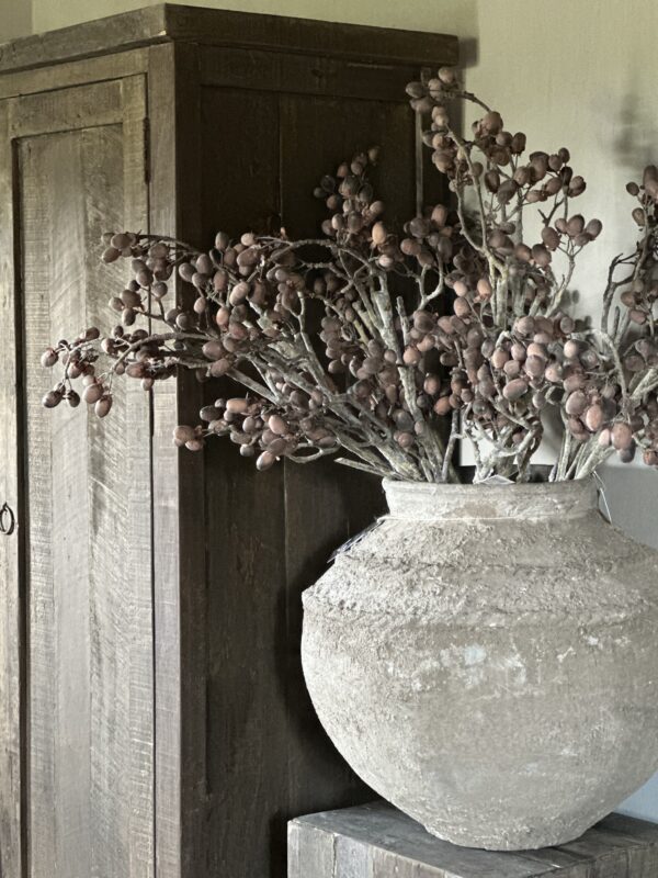 Alnus Grande Brown 92 cm