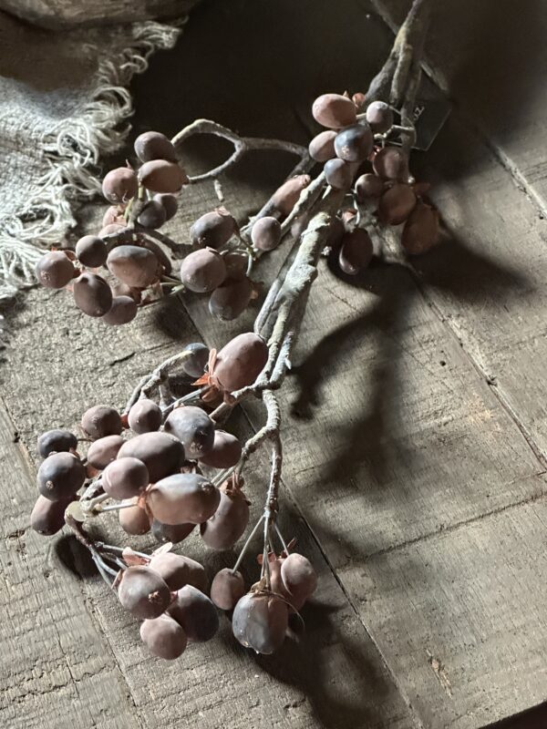 Alnus Grande Brown 92 cm - Afbeelding 5