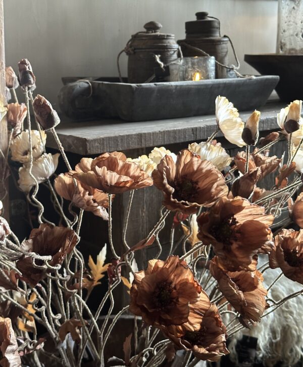 Poppy Bundle Brown - Afbeelding 2