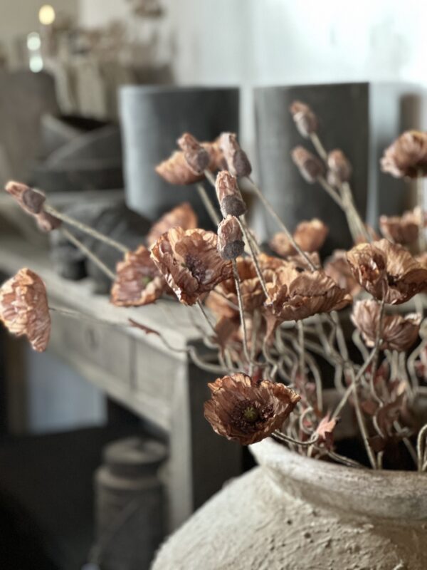 Poppy Bundle Brown - Afbeelding 3
