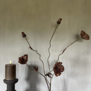 Poppy Bundle Brown