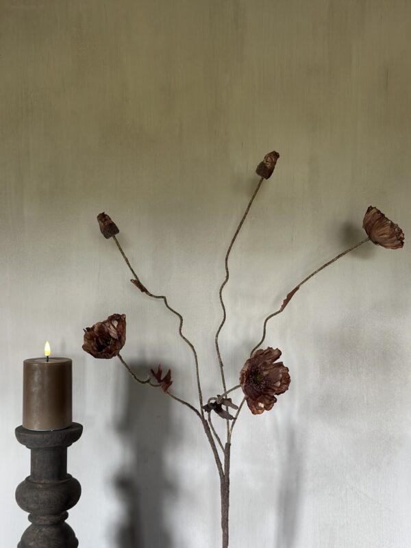 Poppy Bundle Brown