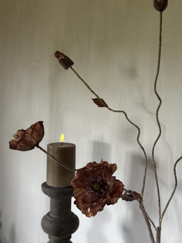 Poppy Bundle Brown - Afbeelding 7