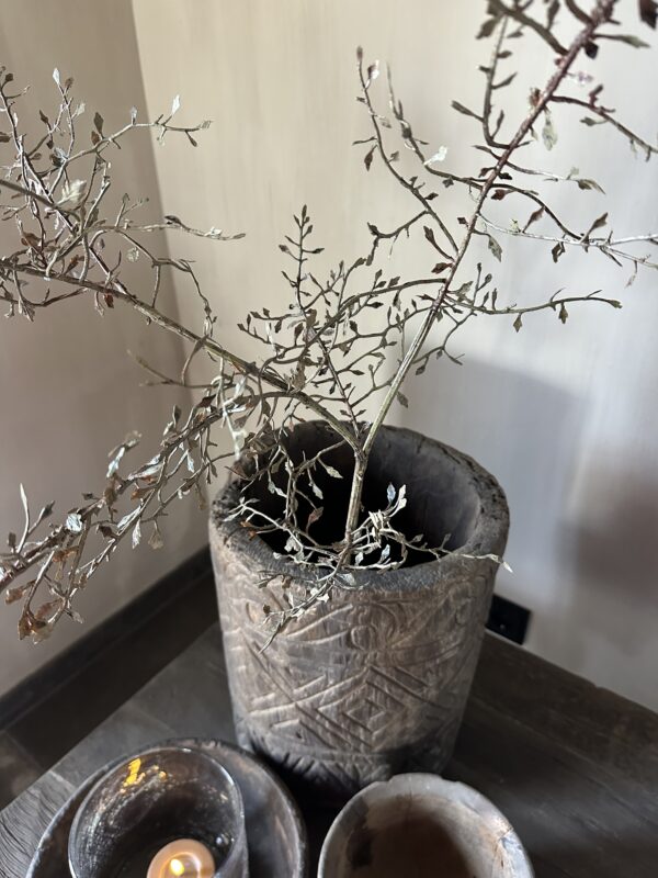Corokia Spray 104 cm - Afbeelding 5