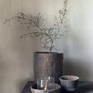 Corokia Spray 104 cm