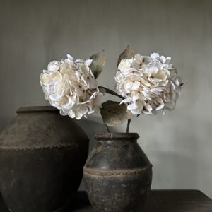 Hydrangea Beige 66 cm