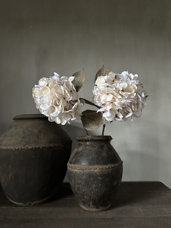 Hydrangea Beige 66 cm