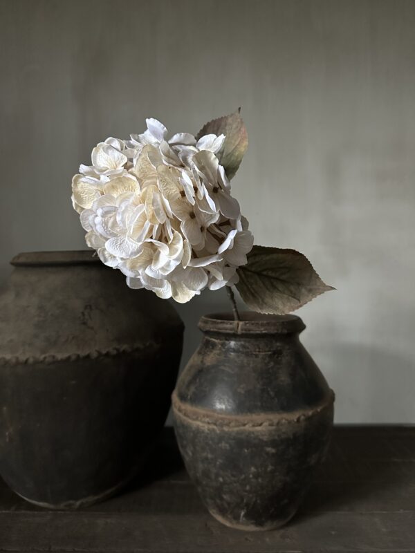 Hydrangea Beige 66 cm - Afbeelding 3