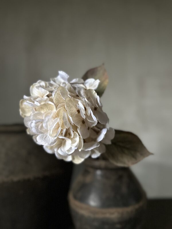 Hydrangea Beige 66 cm - Afbeelding 2