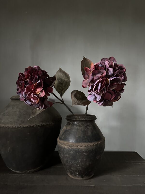 Hydrangea Red 66 cm