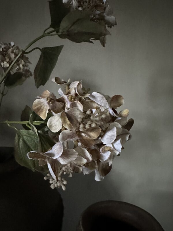 Hydrangea Spray Brown 95 cm - Afbeelding 6