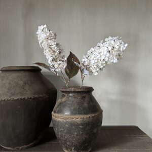 Cone Hydrangea Beige 66 cm