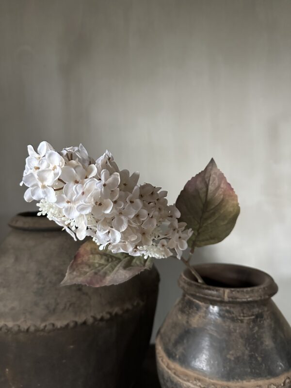 Cone Hydrangea Beige 66 cm - Afbeelding 5