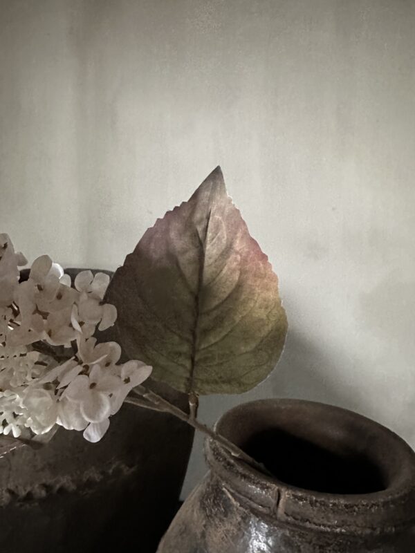 Cone Hydrangea Beige 66 cm - Afbeelding 4