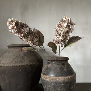 Cone Hydrangea Brown 66 cm