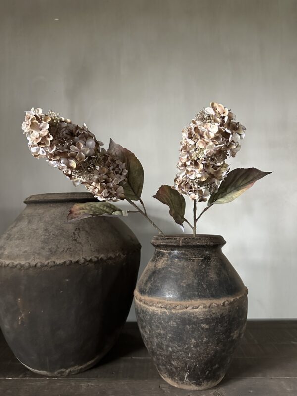 Cone Hydrangea Brown 66 cm