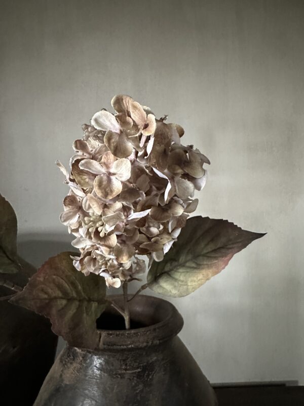 Cone Hydrangea Brown 66 cm - Afbeelding 5