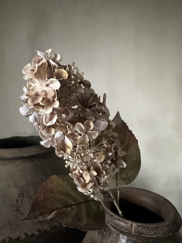 Cone Hydrangea Brown 66 cm - Afbeelding 3