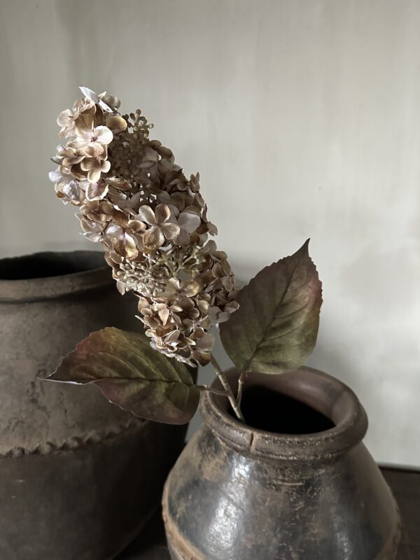 Cone Hydrangea Brown 66 cm - Afbeelding 4