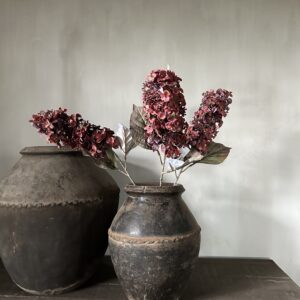 Cone Hydrangea Red 66 cm