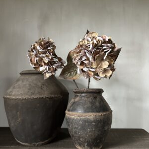 Hydrangea Brown 66 cm