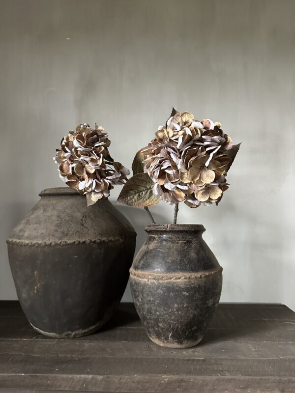 Hydrangea Brown 66 cm